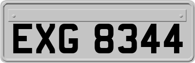 EXG8344