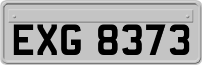 EXG8373