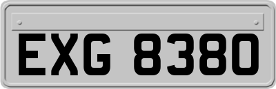 EXG8380