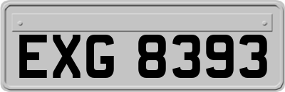 EXG8393