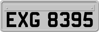 EXG8395