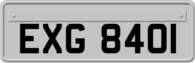 EXG8401