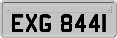 EXG8441