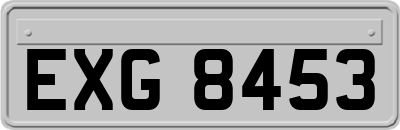 EXG8453