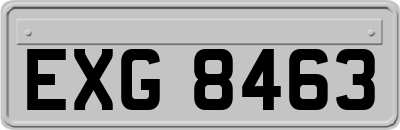 EXG8463