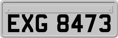 EXG8473