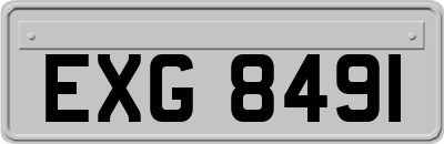 EXG8491