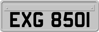 EXG8501