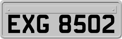 EXG8502