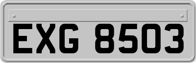 EXG8503