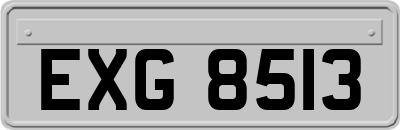 EXG8513