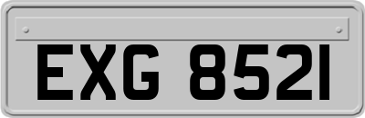 EXG8521