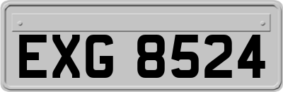 EXG8524