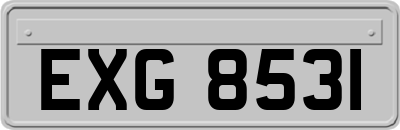 EXG8531