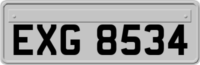 EXG8534