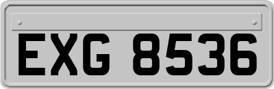 EXG8536