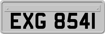 EXG8541
