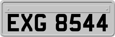 EXG8544
