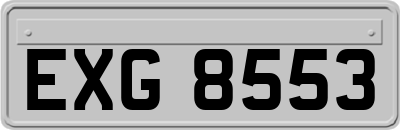 EXG8553