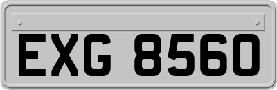 EXG8560