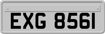 EXG8561
