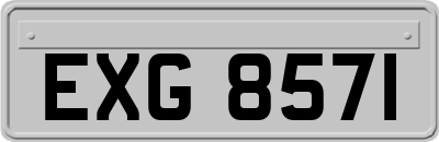 EXG8571