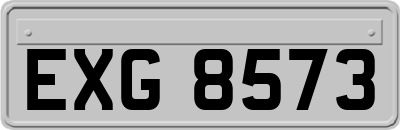 EXG8573