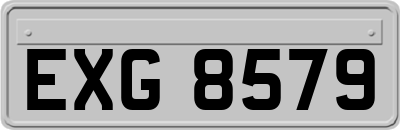 EXG8579