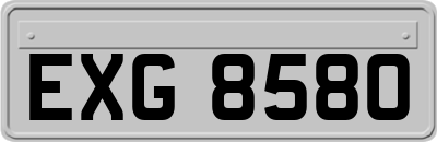 EXG8580