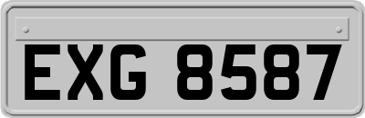 EXG8587
