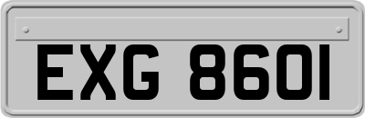 EXG8601