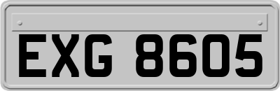 EXG8605
