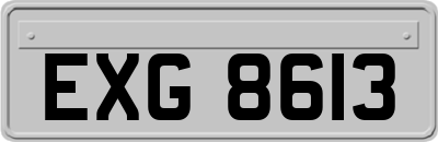 EXG8613