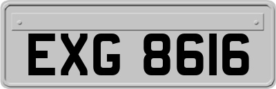 EXG8616