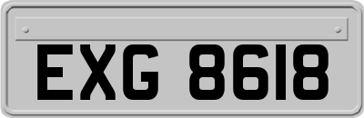 EXG8618