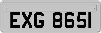 EXG8651