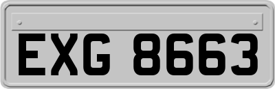 EXG8663