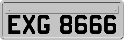 EXG8666