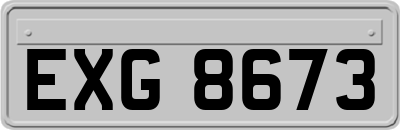 EXG8673