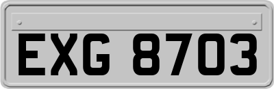 EXG8703