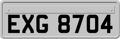 EXG8704