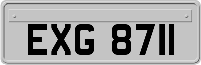 EXG8711