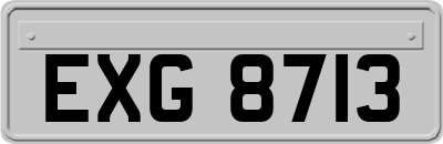 EXG8713