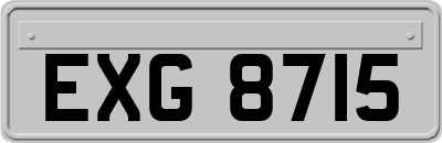 EXG8715