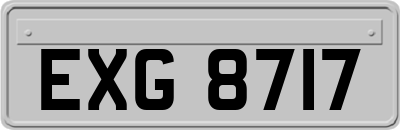 EXG8717