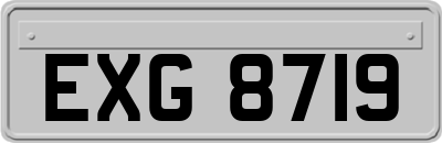 EXG8719