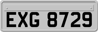 EXG8729
