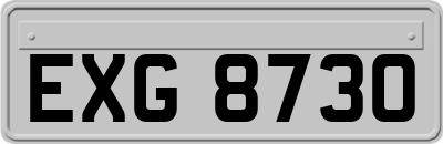 EXG8730