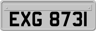 EXG8731