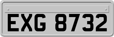 EXG8732